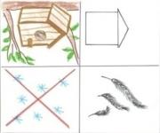 Конспект зимнего занятия по экологии для детей старшего дошкольного возраста «Птицы наши друзья